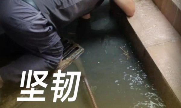 世茂服务东南区域：为你服务不服“暑”，一线关怀有“凉”方