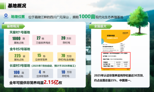 五年扩产近30倍！信德农牧登顶中国非笼养蛋鸡存栏量第一